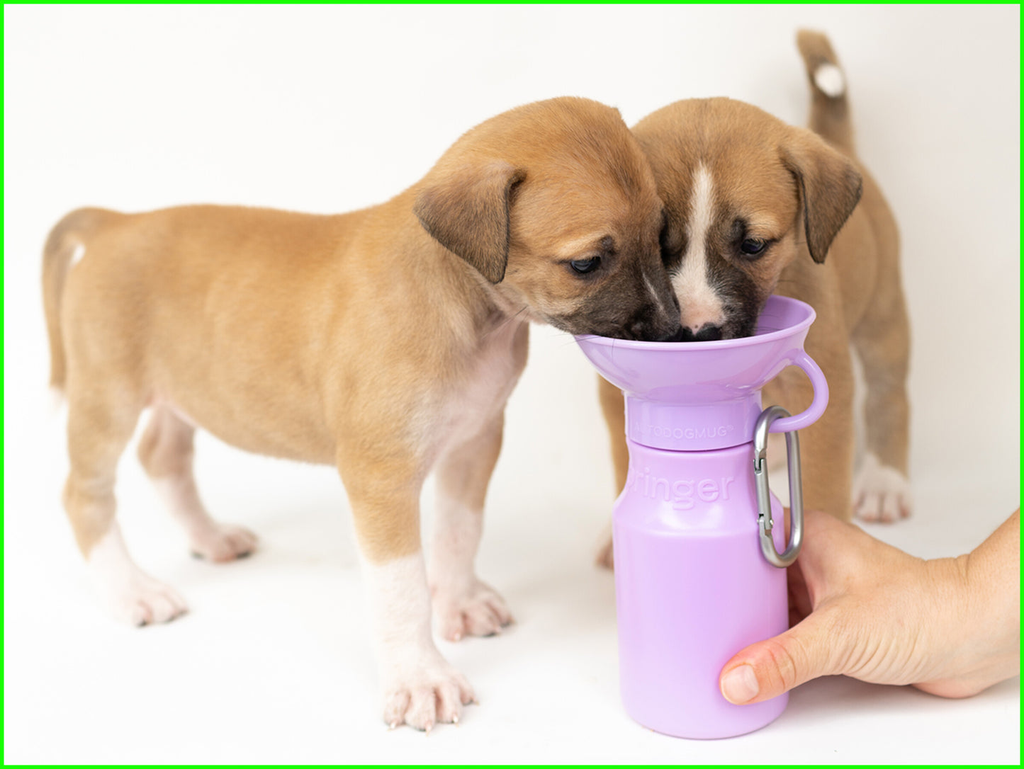 Hondendrinkfles voor onderweg Mini 0,44 L (meerdere kleuren) - Nora-Lou