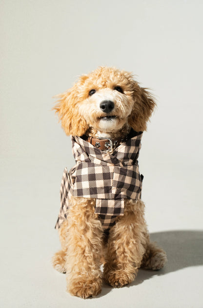Regenjas hond Checked Brown