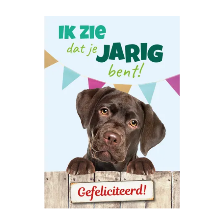 Wenskaart A5 - Hond Labrador - Nora-Lou