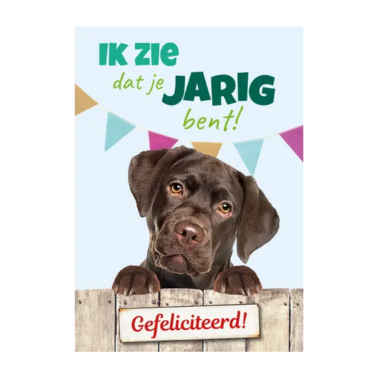Wenskaart A5 - Hond Labrador - Nora-Lou