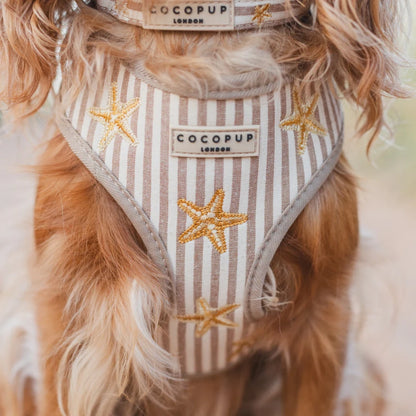 Cocopup harnas verstelbaar SANDY STARPAWS