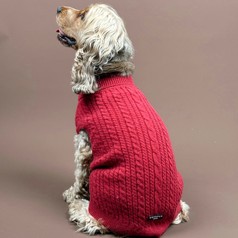 Cocopup London Gebreide trui - Rood