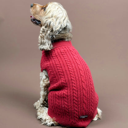 Cocopup London Gebreide trui - Rood