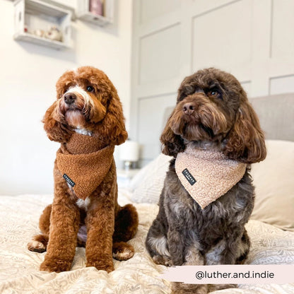 Cocopup Bandana Paddington