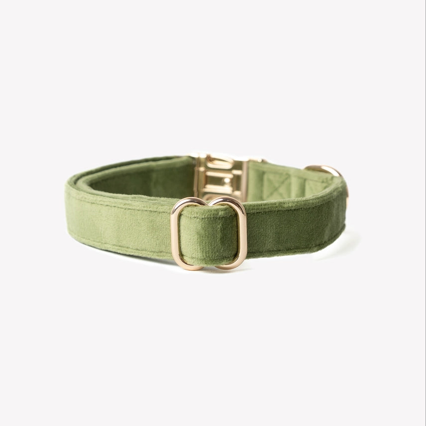 Fluwelen halsband - GROEN