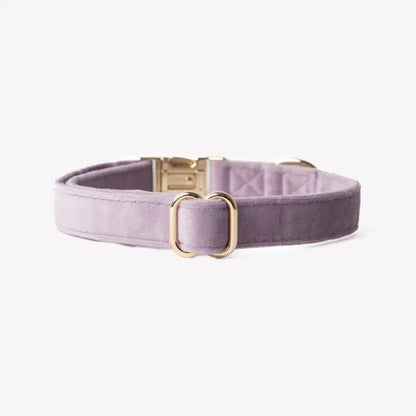 Furlou Fluwelen halsband - LILA - Nora-Lou