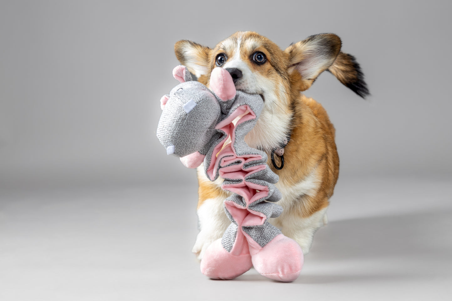 Speelgoed puppy Filsy Nijlpaard roze - Nora-Lou