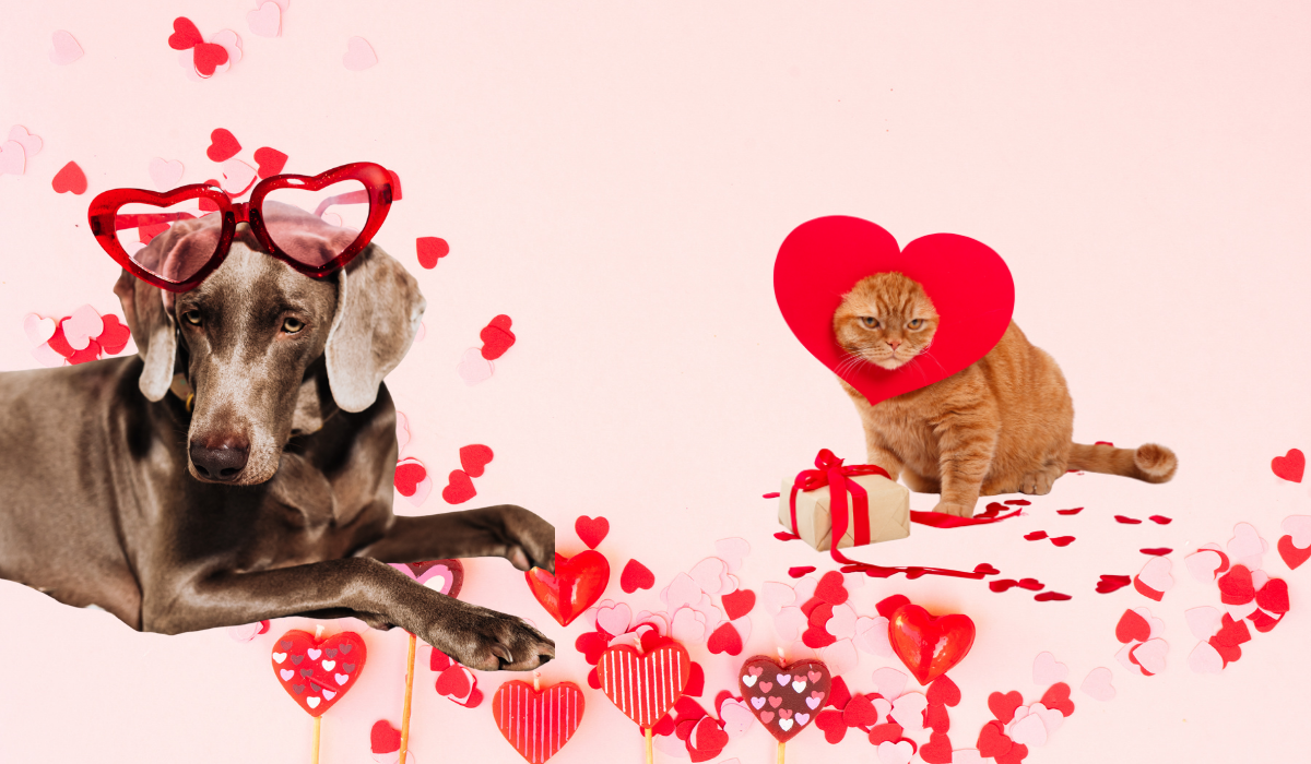 Uploaded: Banners_bovenaan_website_15.png