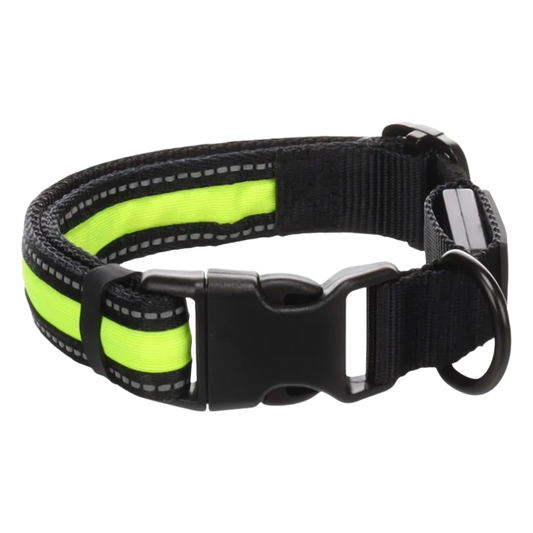 Halsband Lichtgevend Zwart & Geel