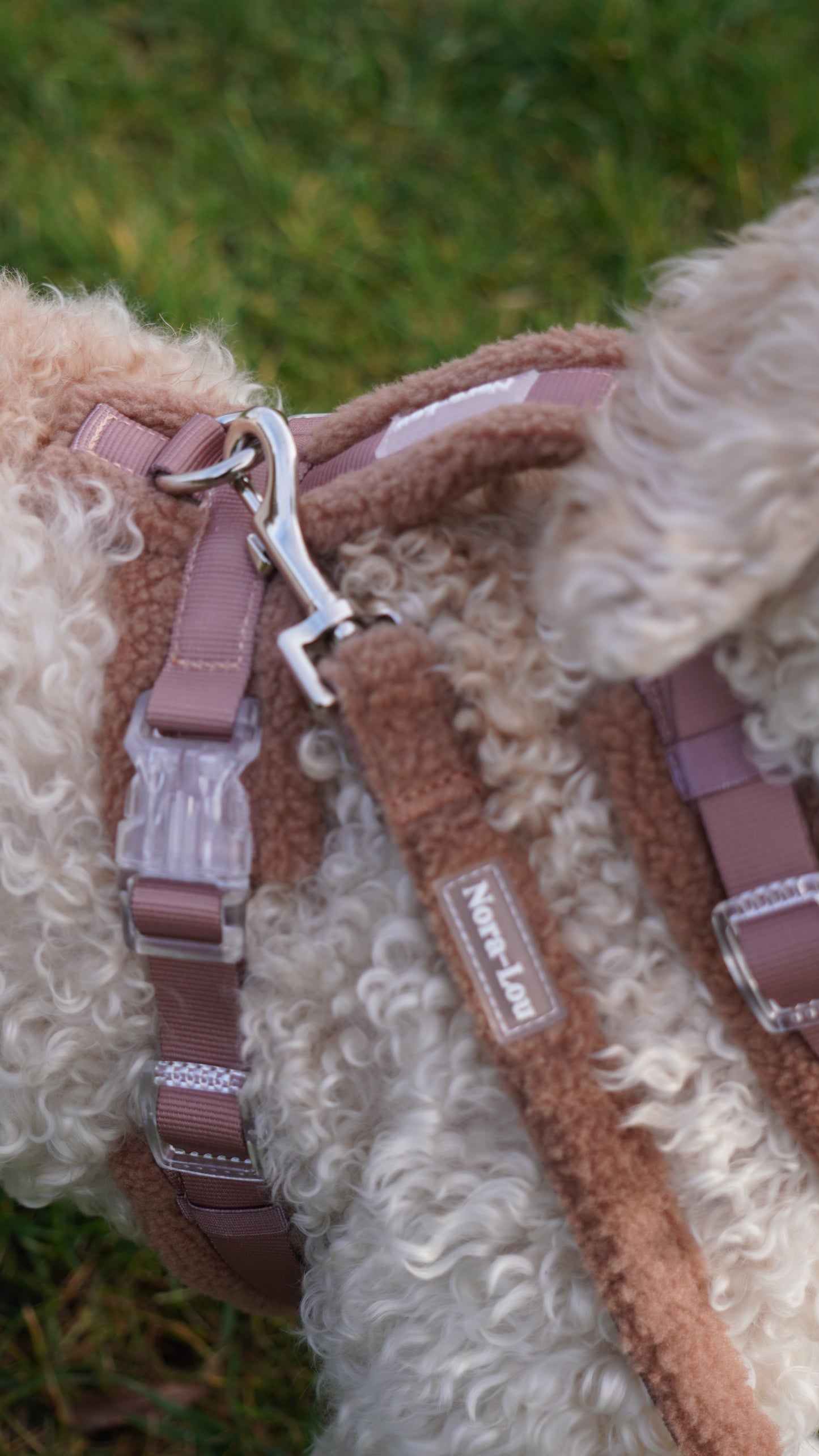 Nora-Lou Leiband Teddy Bruin - Nora-Lou