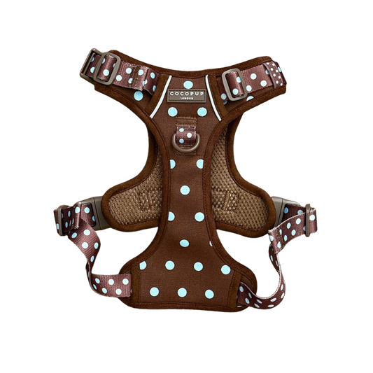 Kokopup-Geschirr verstellbar EXPLORE BISCOTTI BLUE