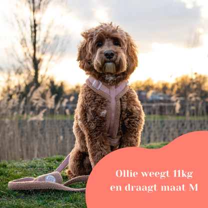 Nora-Lou Y-vormig Harnas Teddy Bruin - Nora-Lou