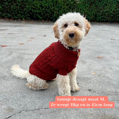 Gebreide trui voor honden - bordeaux