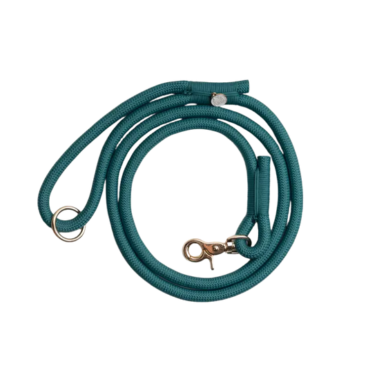 Furlou braided dog leash - BLUE