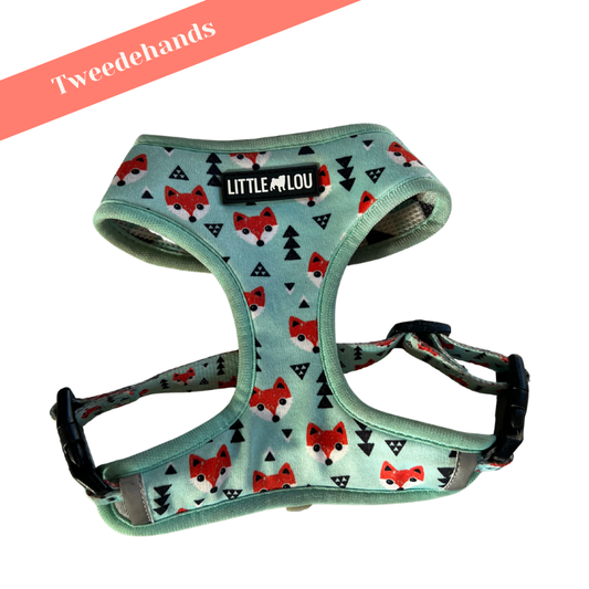 Set Mr. Fox (Harnas + leiband) maat S