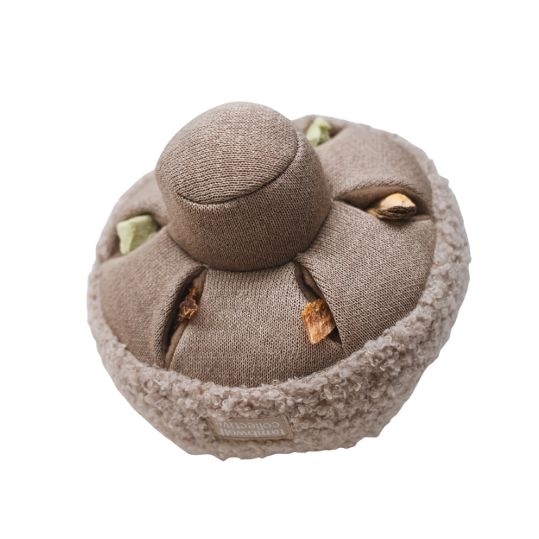 Snuffel paddenstoel - Interactief speelgoed