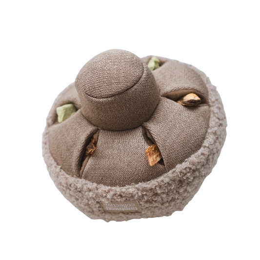 Snuffel paddenstoel - Interactief speelgoed