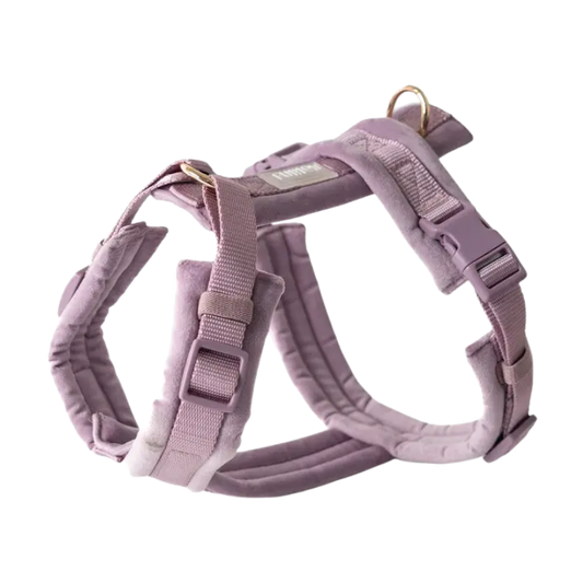 Furlou Y-vormig Harnas Velvet -LILA