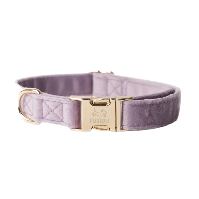 Furlou Fluwelen halsband - LILA - Nora-Lou