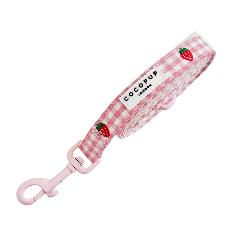 Cocopup leiband STRAWBERRY