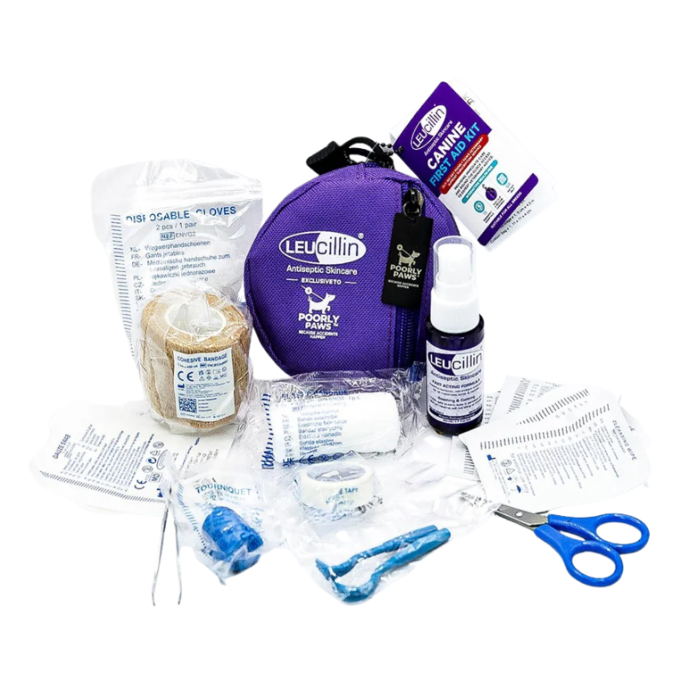 Leucillin First Aid Kit