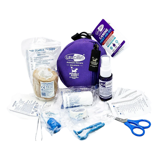 Leucillin First Aid Kit - Nora-Lou