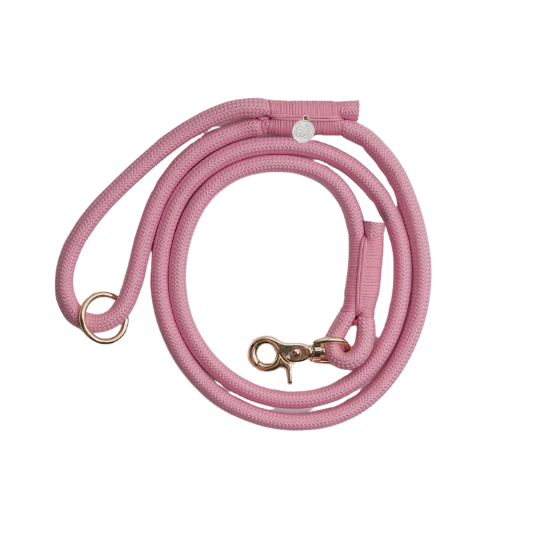 Furlou gevlochten hondenriem - ROZE