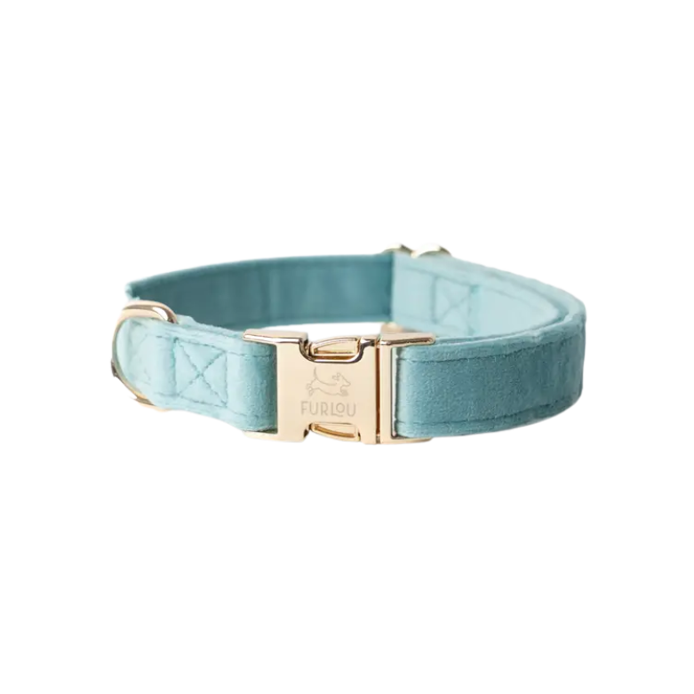 Furlou Fluwelen halsband - BLAUW