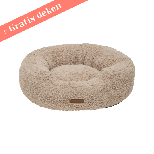 AB Chubby orthopedic dog bed + FREE matching blanket!