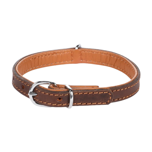 Lederen Halsband Gevoerd Memphis Bruin