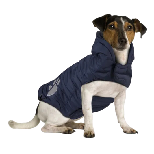 Hondenjas Paw Blauw - Nora-Lou