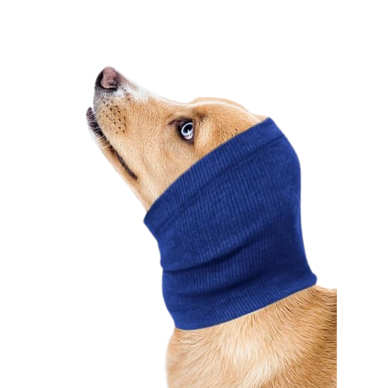 Oorbescherming hond (in plaats van honden oordoppen)