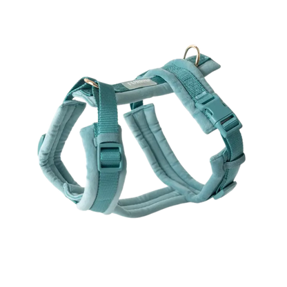Furlou Y-shaped Harness Velvet - BLUE