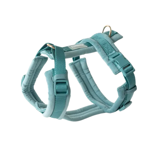 Furlou Y-shaped Harness Velvet - BLUE