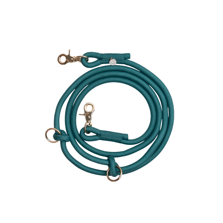 Furlou Hands-Free Dog Leash - Blue