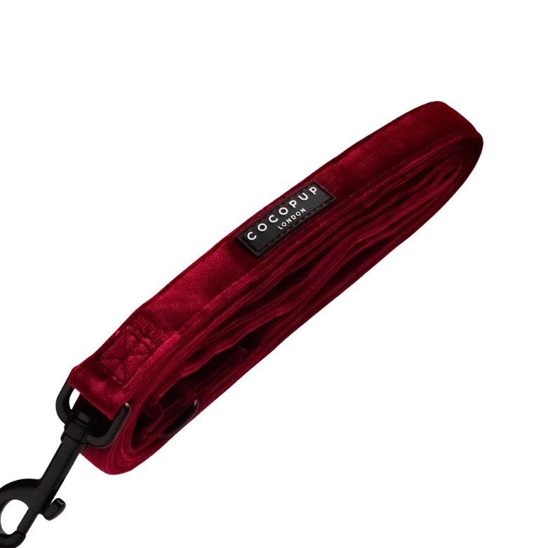 Cocopup leiband Berry Red