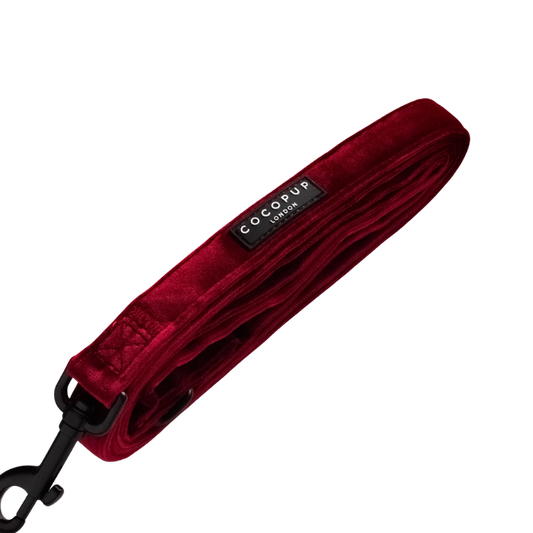 Cocopup leiband Berry Red