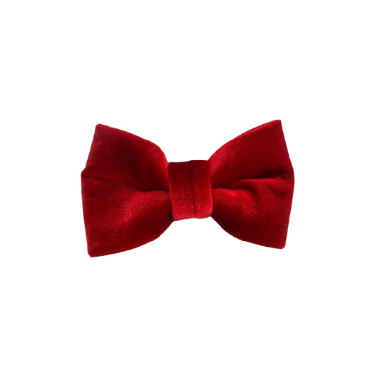 Red dog bow tie Velvet