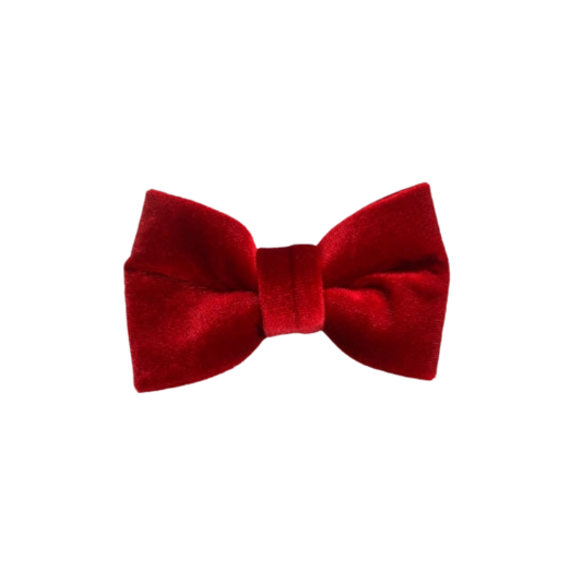 Rood hondenstrikje Velvet