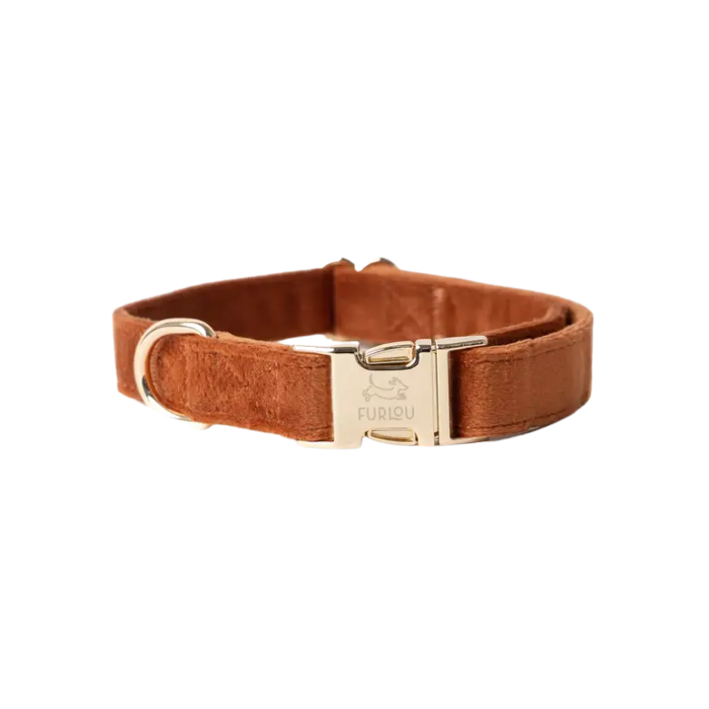 Fluwelen halsband - KLEI