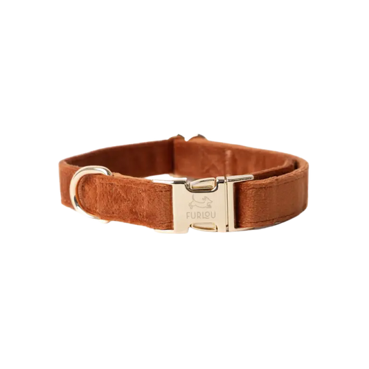 Fluwelen halsband - KLEI