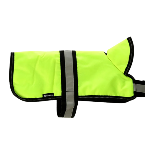 Winterjas Eisbär Fluo geel