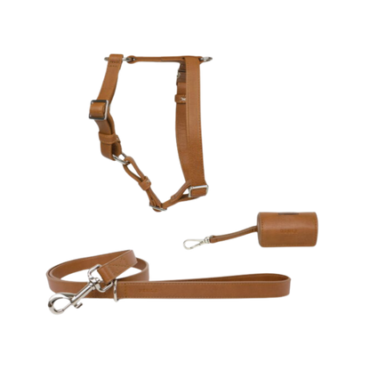 Set: Confidence - Harness