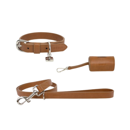 Set: Confidence - Halsband