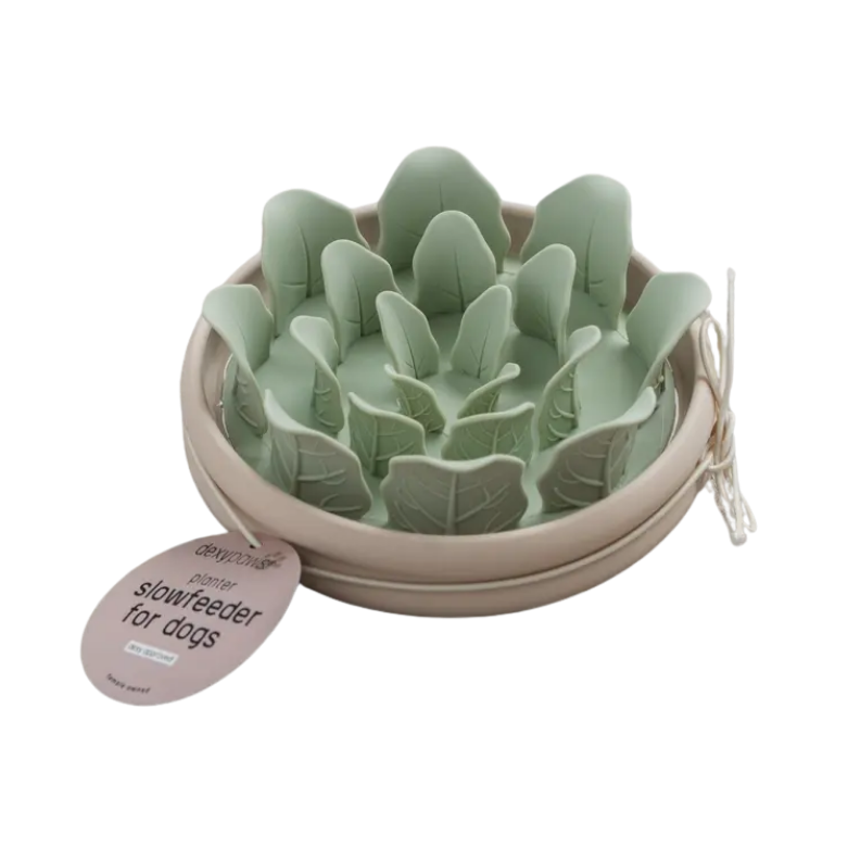 Slow Feeder - Plant