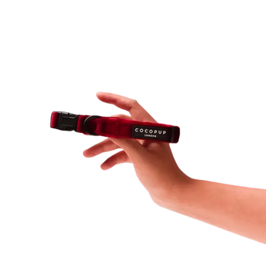 Cocopup halsband Berry red