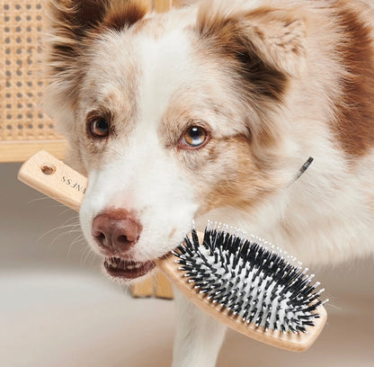 Hondenborstel Hout/Nylon voor honden met korte vacht - Nora-Lou