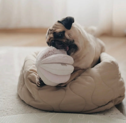 TOTO interactief hondenspeelgoed bal