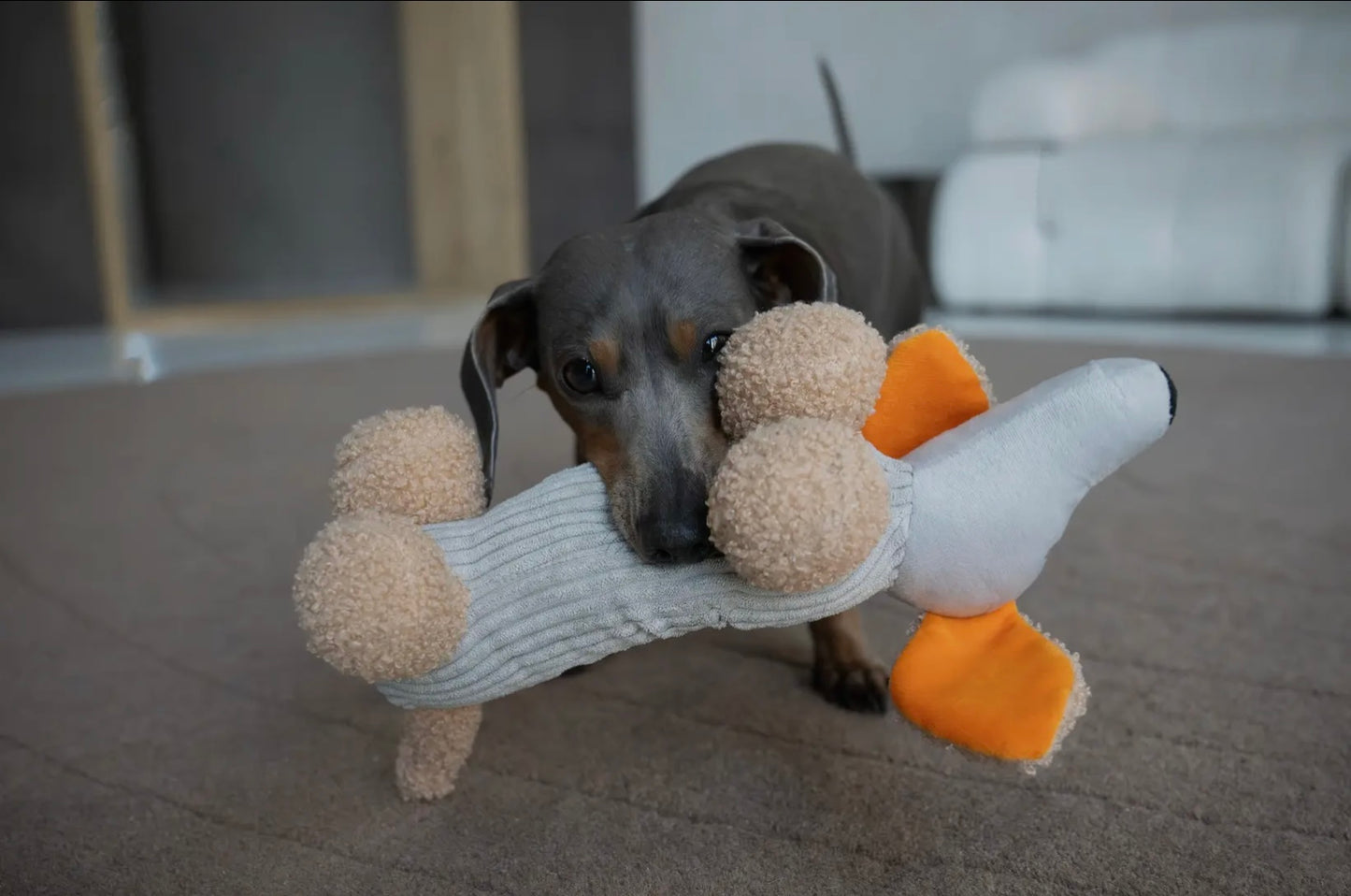 The Micky Teckel Mokka