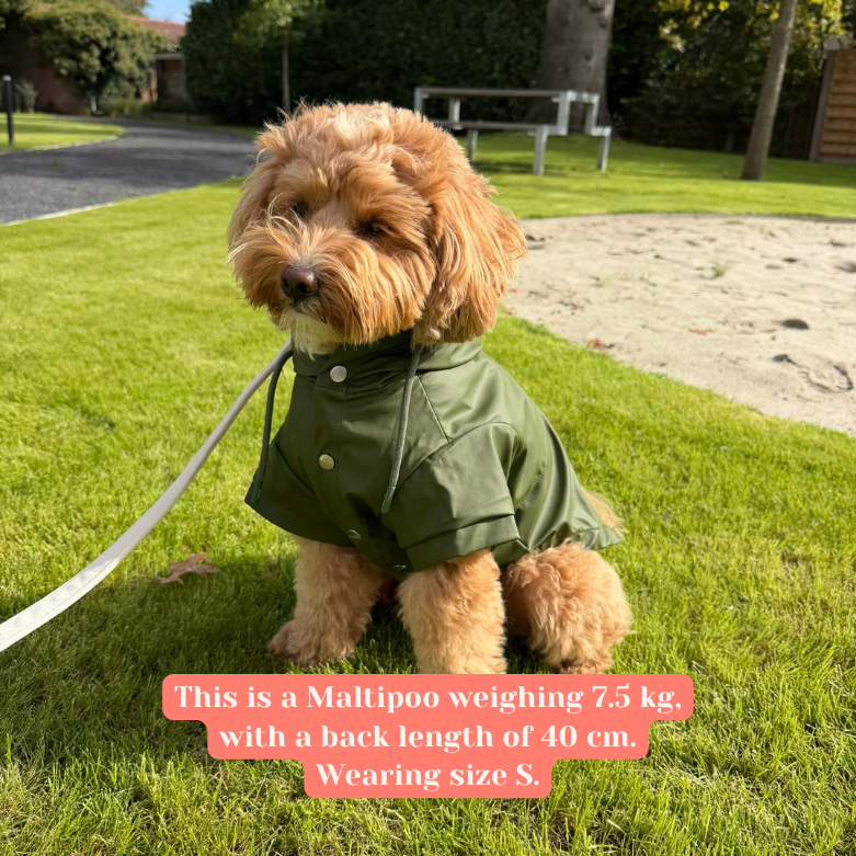Regenjas hond Groen - Nora-Lou